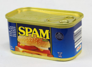 Spam works great as a catfish bait if your are willing to part with breakfast