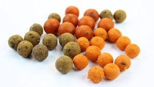 Carp boilies  come in some unique flavors like Tutti Fruity or Bird Seed & Pineapple