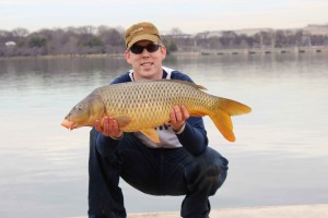 A nice 20 lb carp I caught on my best winter stick mix: bread crumb and sweet corn coated in a Nash sweet corn attractant.