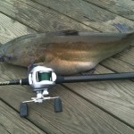 Few things are as fun as catching a channel catfish.