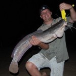 South African barbel catfish