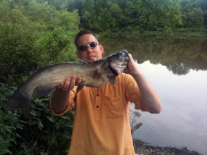 Virginia channel catfish 