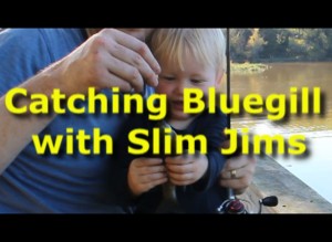 Catching bluegills with Slim Jims. 