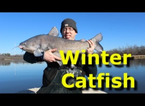How to catch catfish in the winter