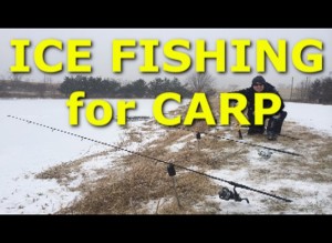 How NOT to catch carp while ice fishing