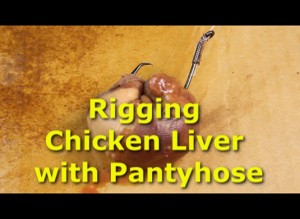 Rigging Chicken Liver with Pantyhose