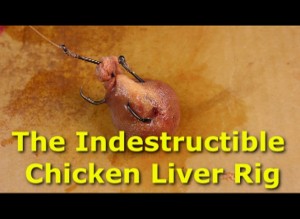 The indestructible chicken liver rig 