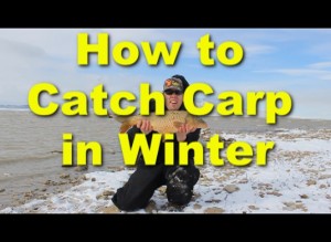 How to catch Carp in the Winter